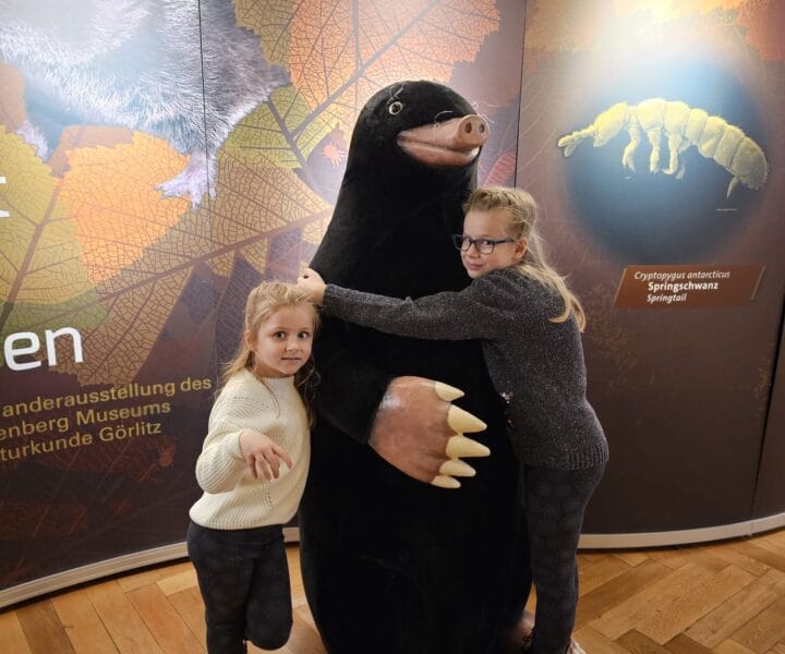 Advent u Beču kamperom (31)