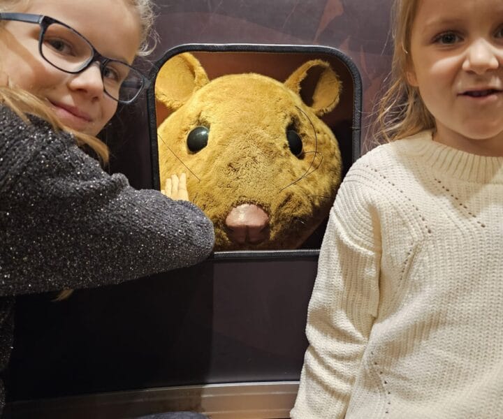 Advent u Beču kamperom (34)