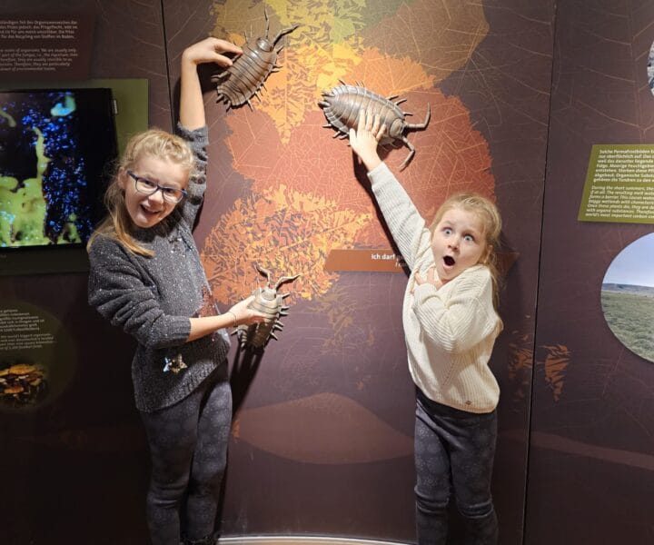 Advent u Beču kamperom (37)