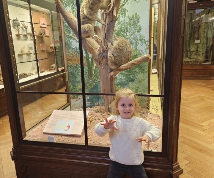 Advent u Beču kamperom (44)